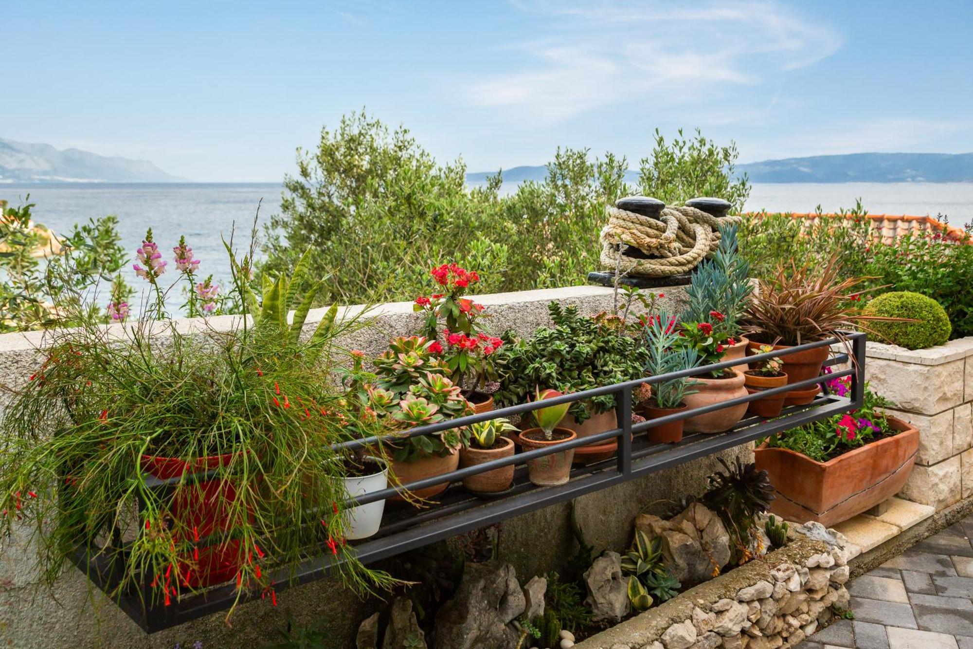 מימיצה Seaside Apartment Kamelia מראה חיצוני תמונה